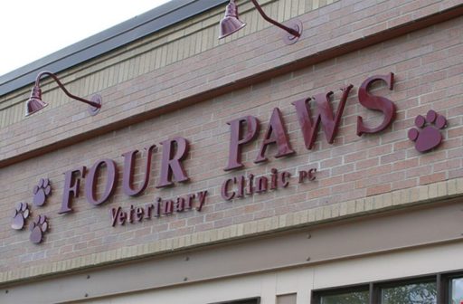 Injection Molded Plastic - Image 7