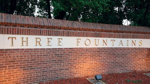 Prismatic Bronze - Image 7