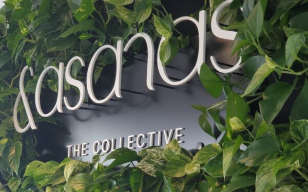 Matte white painted acrylic storefront letters — Asanas
