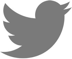 Logo_of_Twitter.svg.jpg