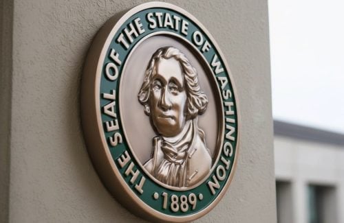 Generated Image October 29, 2025 - 1_12PM copy